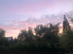 -中国海洋大学（崂山校区）-图书馆