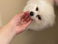 -宠颐生宠物医院·骨外科·犬猫全科诊疗中心(池州店)