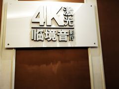 -中影国际影城(大唐西市4K临境音店)