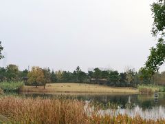 -武汉园博园(武汉自然博物馆)