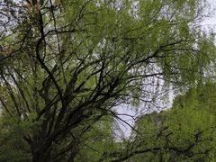 -贵阳市花溪国家城市湿地公园