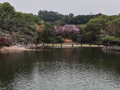 -广州莲花山旅游区