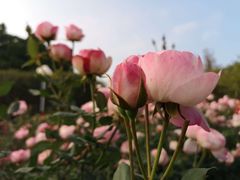 -人民公园(罗湖区)