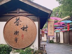-天目湖山水园
