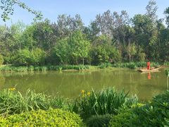 -白鹭湾湿地公园