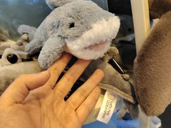 -上海海洋水族馆