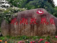 -鹅湖玫瑰文化园