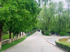 -百脉泉景区