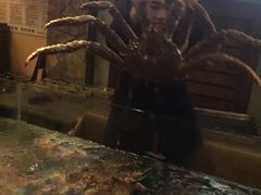 -蟹之国·精品蟹料理(极地店)