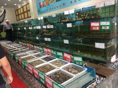 水产区-海岛渔村大酒店(云霄路店)
