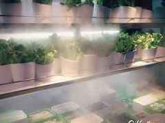 -哆来咪火锅烤肉自助(牌楼店)