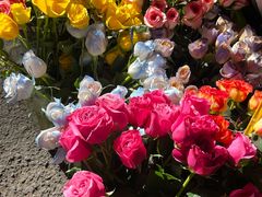 -循礼门鲜花花市(武汉循礼门店)