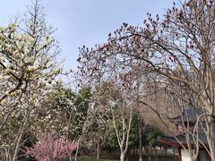 -堤角公园