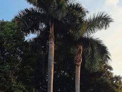 -广州市白云山风景名胜区