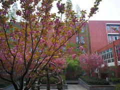 -南京市第五十四中学