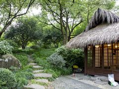 -中国茶叶博物馆(双峰馆区)