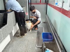 -宠物家(大兴旧宫店)