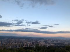 -长虫山生态公园风景林
