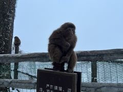 -峨眉山风景名胜区