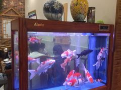 -东来菜馆•手抓海鲜家常菜•海鲜锅贴(鸽子窝店)