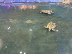 -邯郸海洋世界