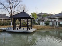 -焦岗湖旅游度假区