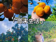 -佛荫寺