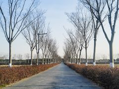 -嘉北郊野公园