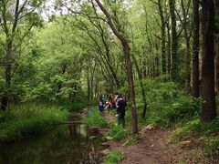 -碓臼峪自然风景区