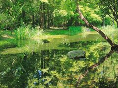 -上海滨江森林公园