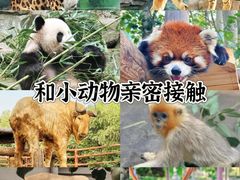 -天津市动物园