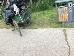 -长白岛森林公园