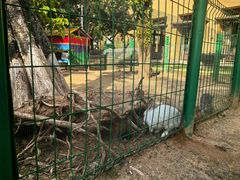 -三亚海棠湾万丽度假酒店