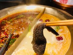 -九鼎轩脆毛肚火锅(南京东路店)