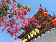 -东莞观音山旅游风景区