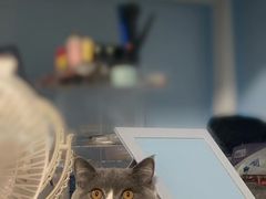 -爱诺动物医院(崂山店)