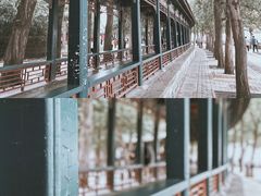 -颐和园