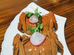 -呼吸森林·生态农庄农家乐私房菜