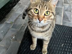 -炊烟餐厅