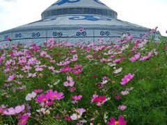 -186彩带河