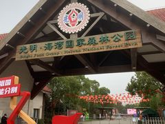 -上海海湾国家森林公园