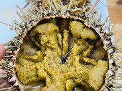 -海胆小馆(东北水饺·春柳店)