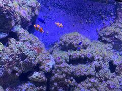 -成都浩海立方海洋公园