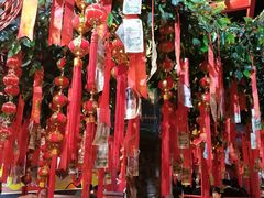 -京氣春饼(机场店)