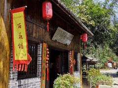 -合肥滨湖国家森林公园