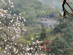 -重庆园博园
