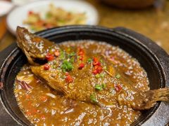 -老江南春·中国龙菜(衡山路店)