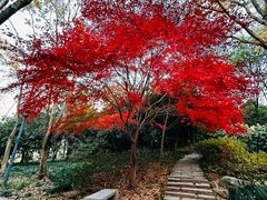 -长广溪湿地公园
