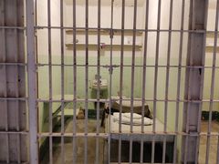 -阿尔卡特拉斯岛