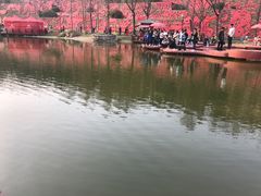 -西安曲江寒窑遗址公园